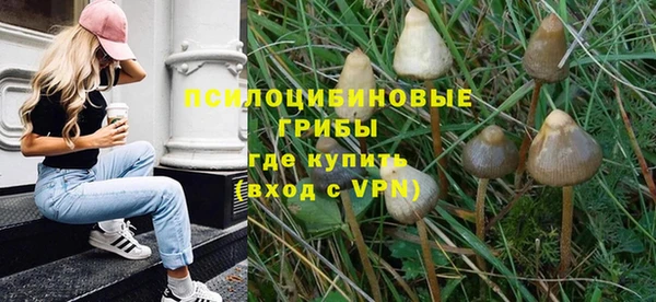 дурь Алзамай