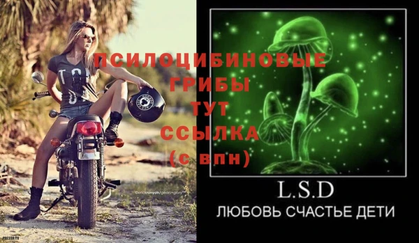 бошки Алексин