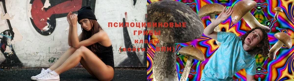 дурь Алзамай