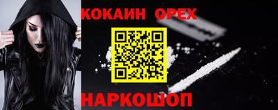apvp Аша