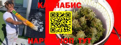 apvp Аша