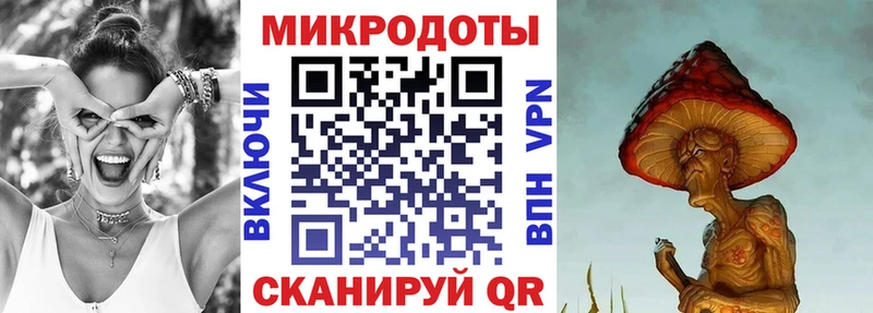 Псилоцибиновые грибы Cubensis  Тейково 