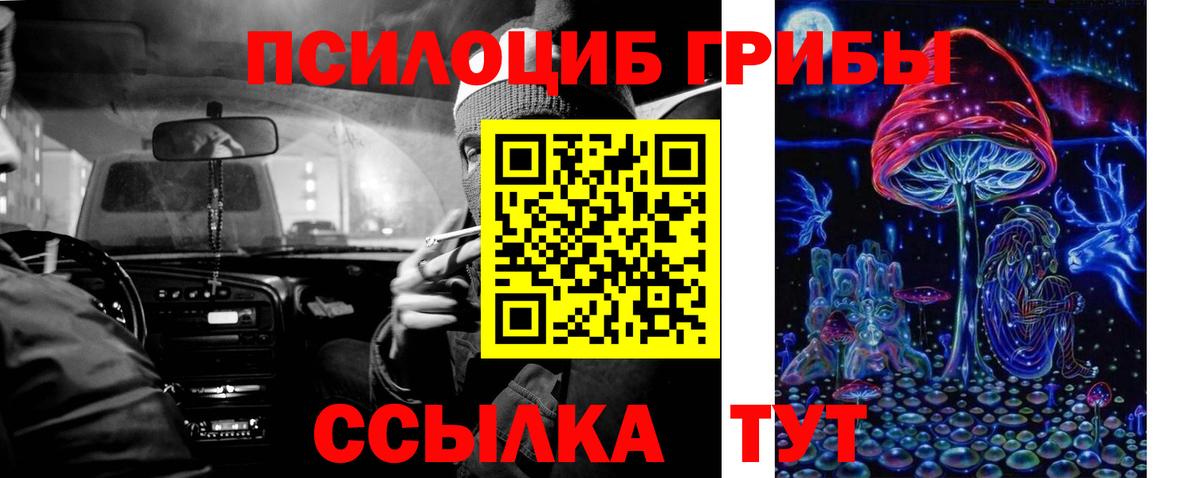 Псилоцибиновые грибы Magic Shrooms Тейково
